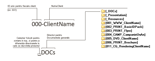 Directory Structure